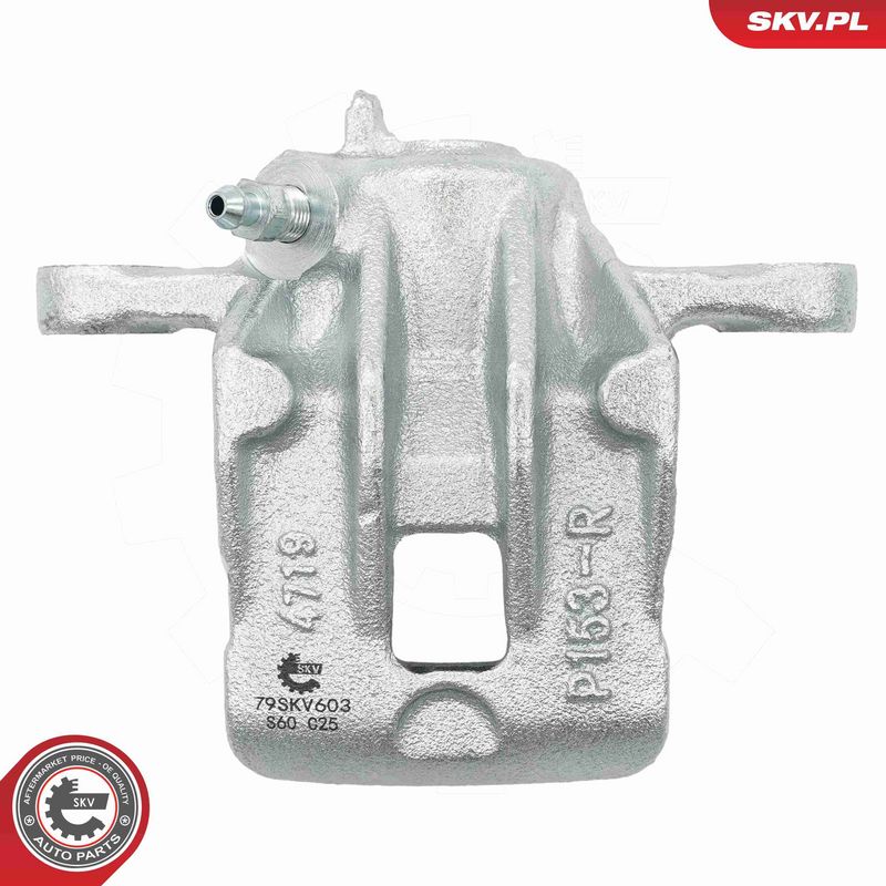 Pidurisadul, ESEN SKV 79SKV603