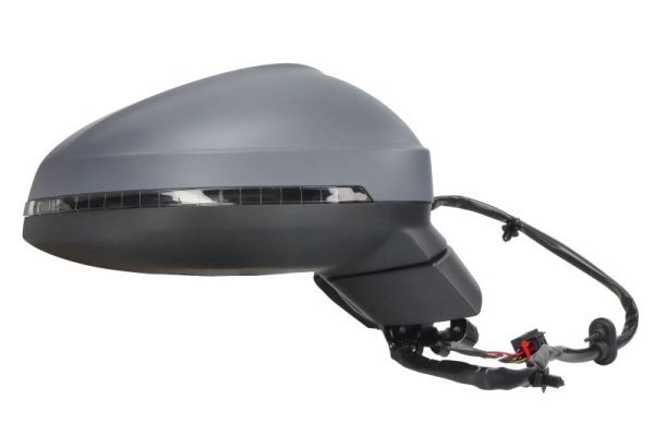 BLIC 5402-25-0054313P Exterior Mirror