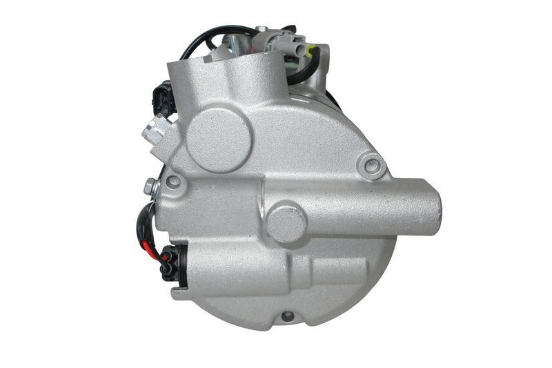 366202291_BACK_TD_1.JPG
