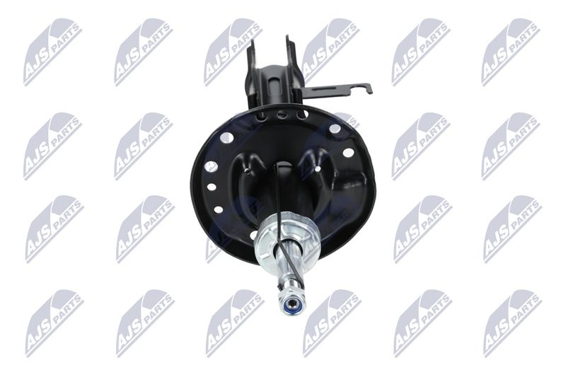 Amort, NTY A-PL-029