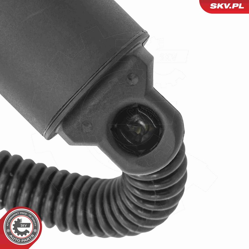 ESEN SKV 52SKV237 Electric Motor, tailgate