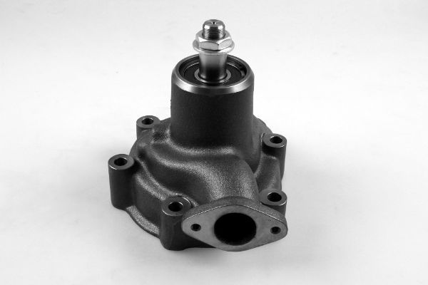 P9908.JPG
