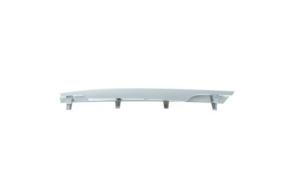 BLIC 6502-07-3580914P Trim/Protection Strip, bumper