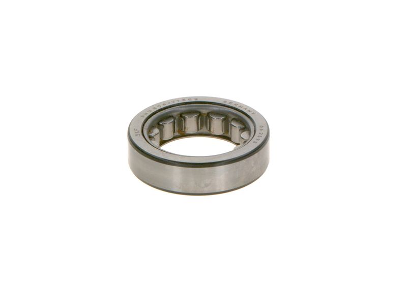 BOSCH 1900910113 Bearing