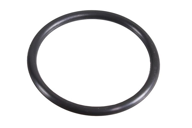 METZGER AUTOTEILE 2430129 - Seal Ring