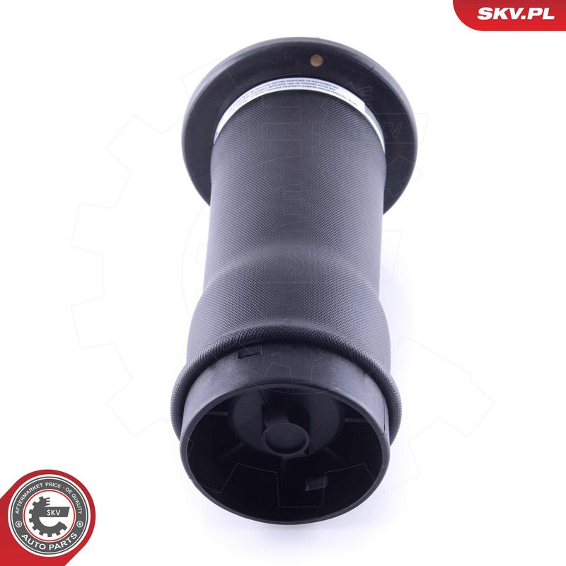 Õhkvedru, vedrustus, ESEN...