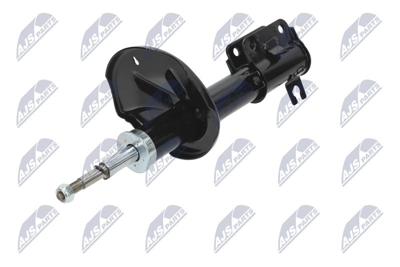 Amort, NTY A-CH-052