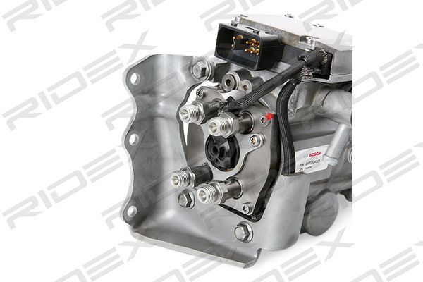 15766751_999.JPG