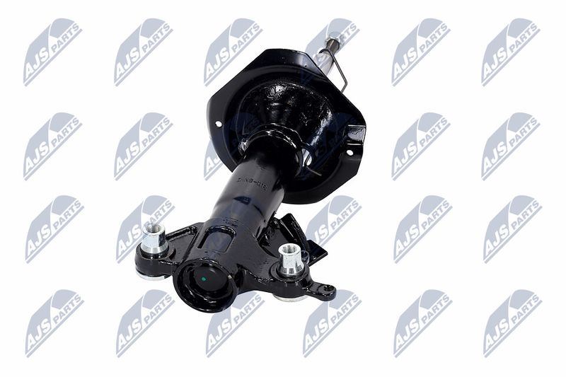 Amort, NTY A-NS-016