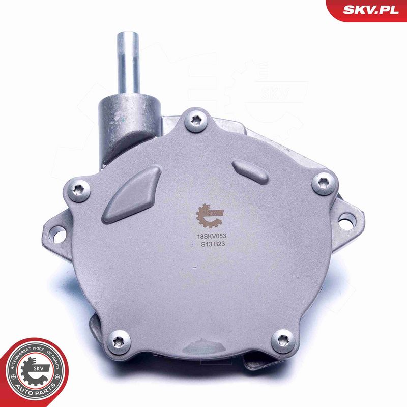 ESEN SKV 18SKV053 Vacuum Pump, braking system