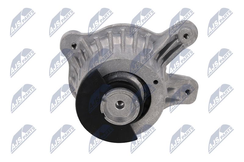 Paigutus, Mootor, NTY ZPS-ME-028