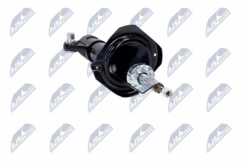Amort, NTY A-NS-015