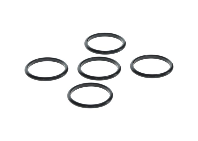 BOSCH H146600080 Rubber Ring