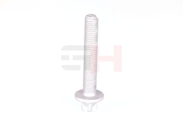 Kruvikomplekt, vedruamort-rattalaagrikorpus, GH GH-397502