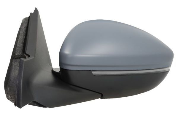 BLIC 5402-04-2440310P Exterior Mirror