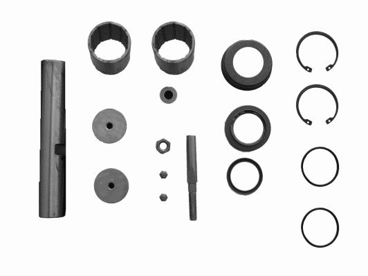 LEMFÖRDER Reparatieset, fuseepen