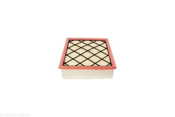 AUTOMEGA 180016710 Air Filter