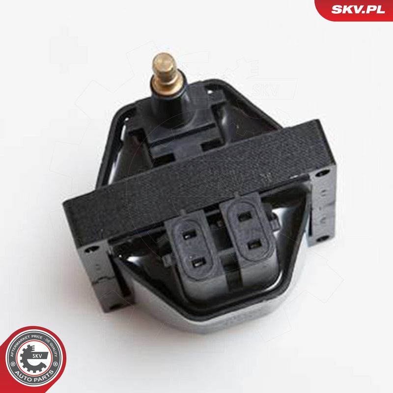 ESEN SKV 03SKV150 Ignition Coil