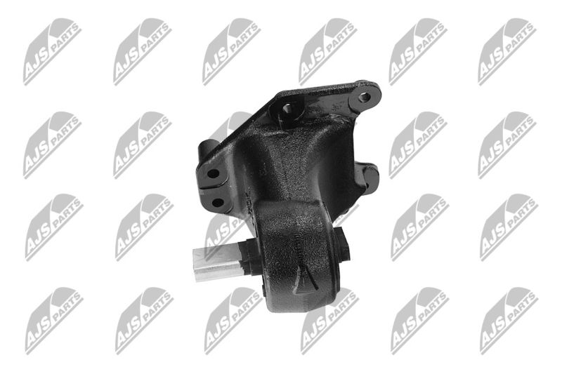 Paigutus, Mootor, NTY ZPS-CH-173