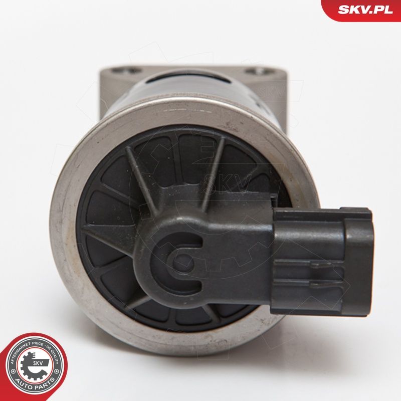 EGR-klapp, ESEN SKV 14SKV053