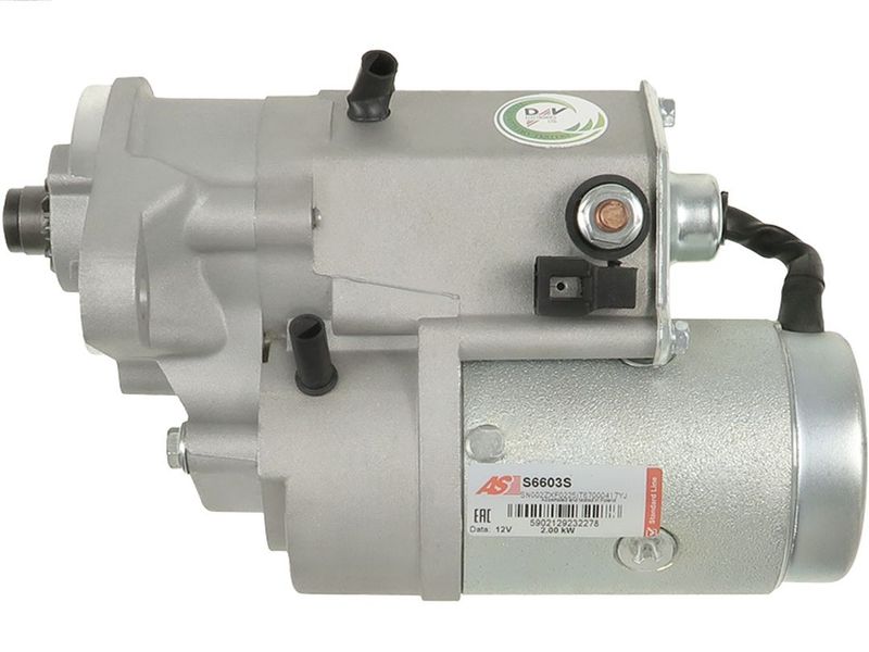 382027.JPG