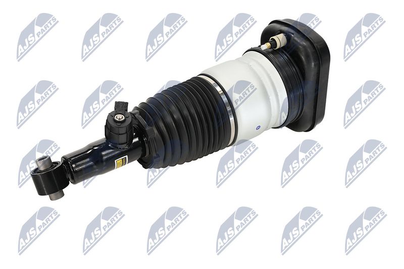 Amort, NTY A-BM-101