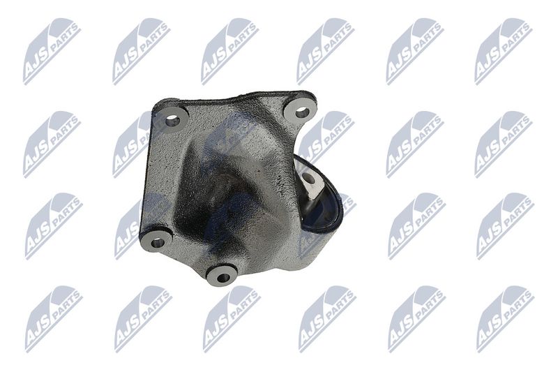 Paigutus, Mootor, NTY ZPS-CH-004