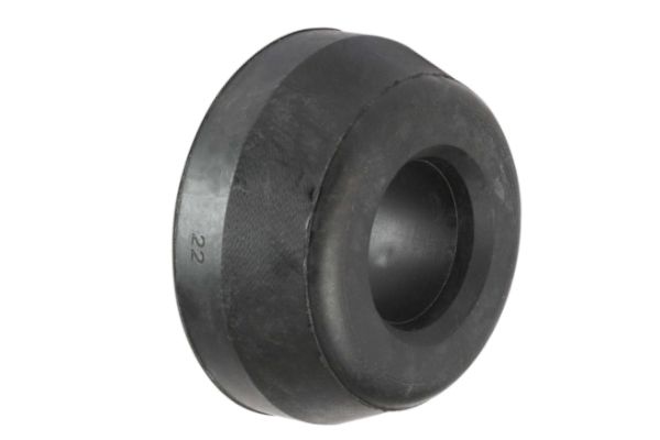 Casquillo del cojinete, ballesta