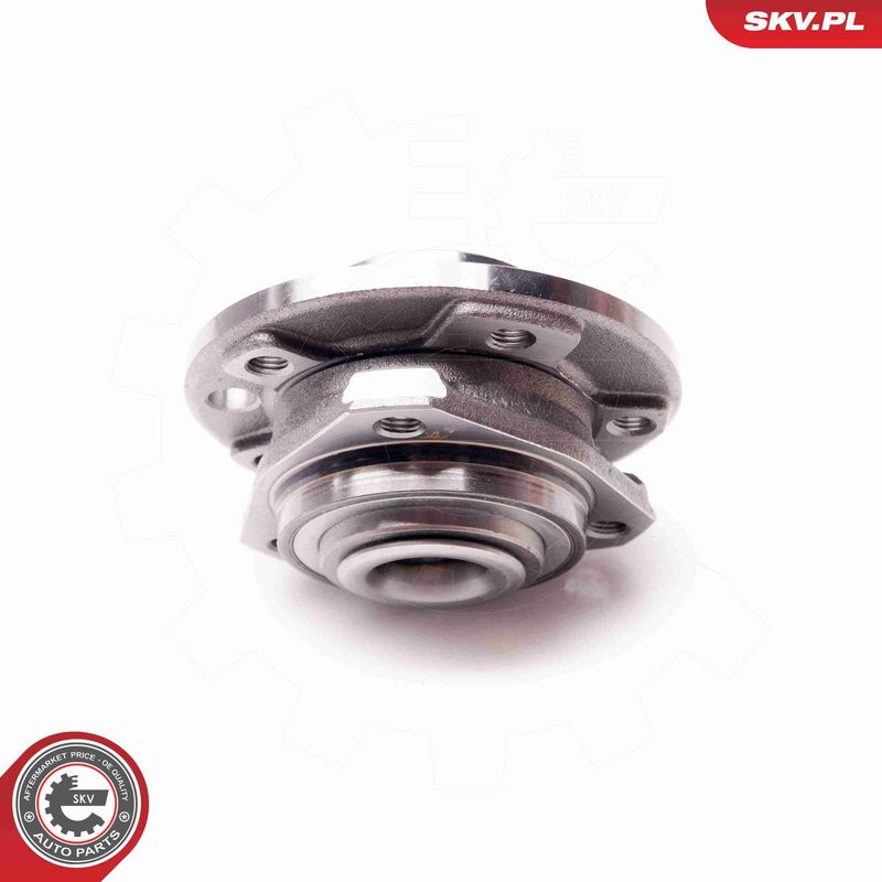 ESEN SKV 29SKV121 Wheel Bearing Kit