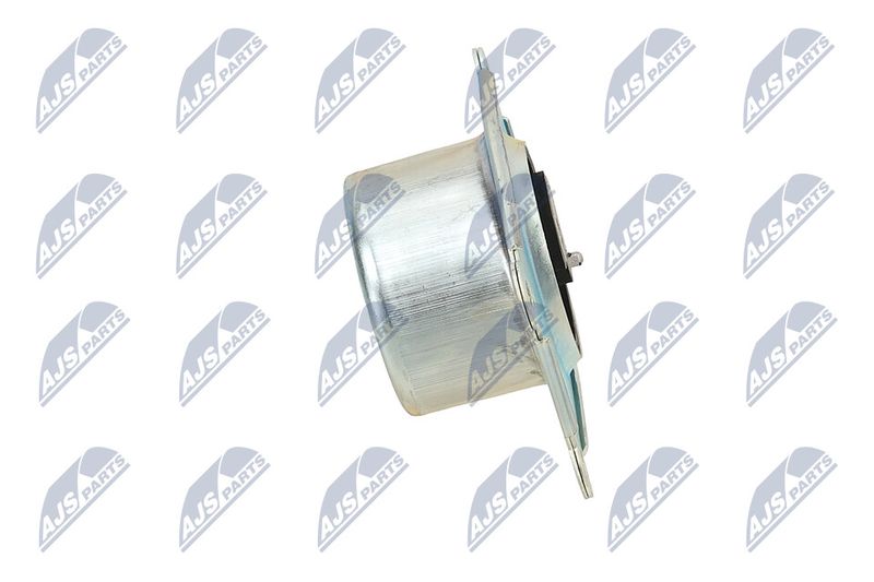 Paigutus, Mootor, NTY ZPS-PL-044