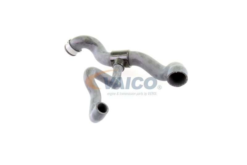 VAICO V30-1660 Radiator Hose