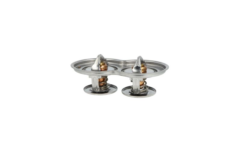 Termostat, chladivo 725433