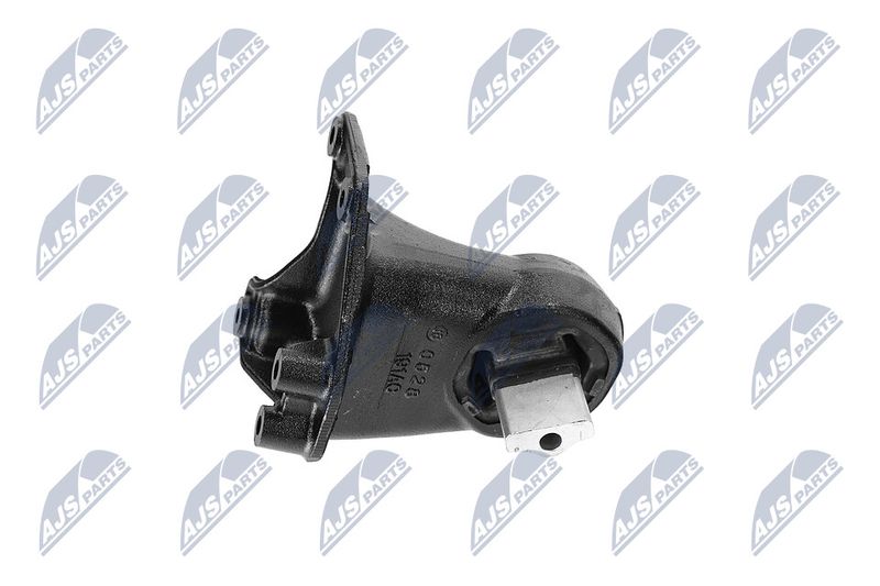 Paigutus, Mootor, NTY ZPS-CH-173