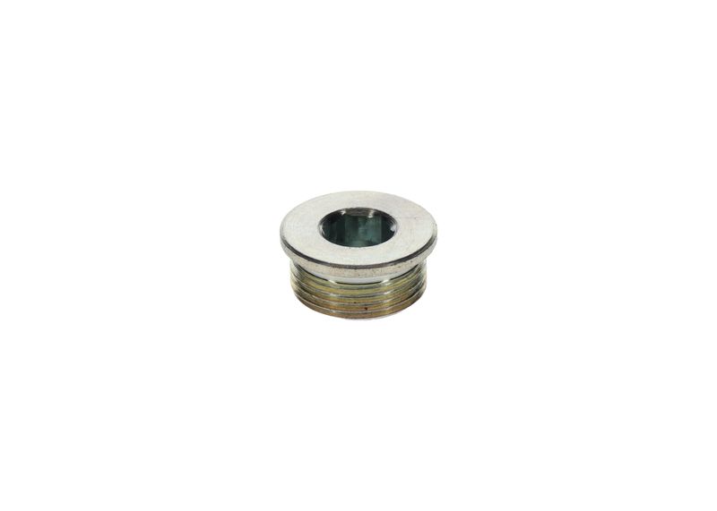 Surub 1 423 462 099 BOSCH