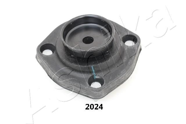 GOM-2024_1.JPG
