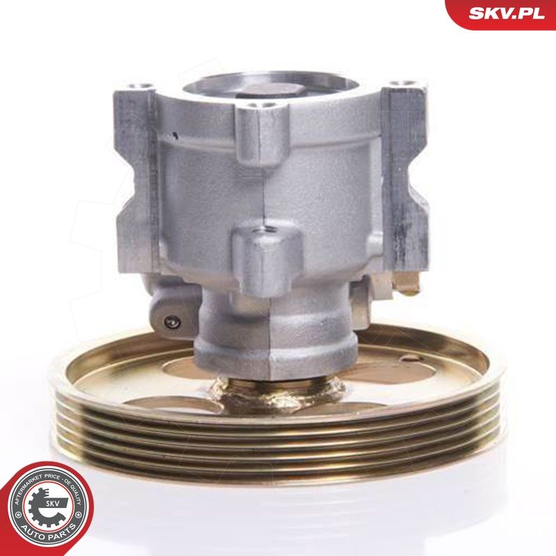 Hüdraulikapump, roolimine, ESEN SKV 10SKV119