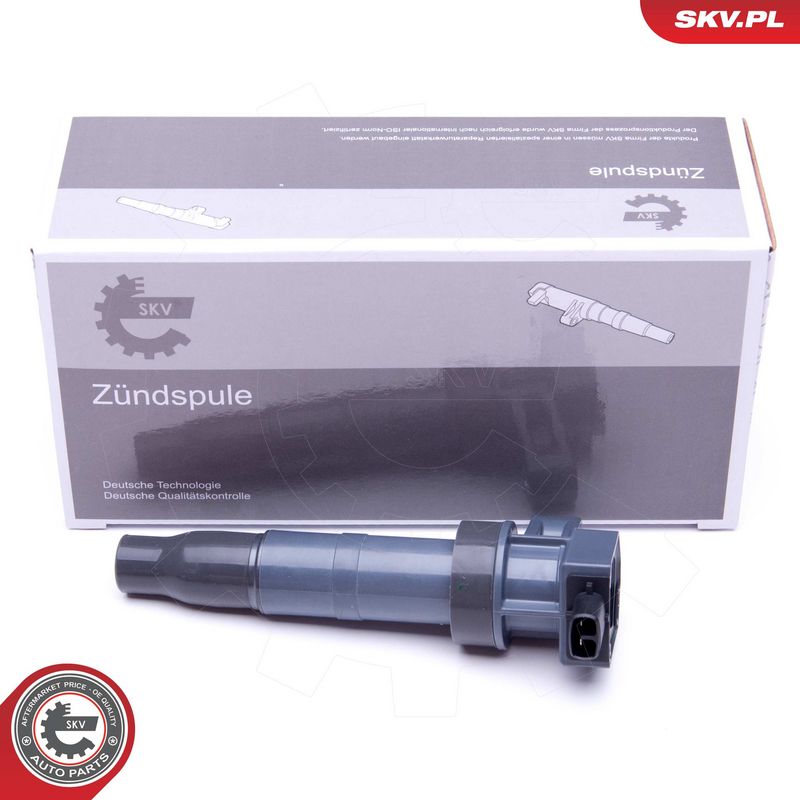 Süütepool, ESEN SKV 03SKV313