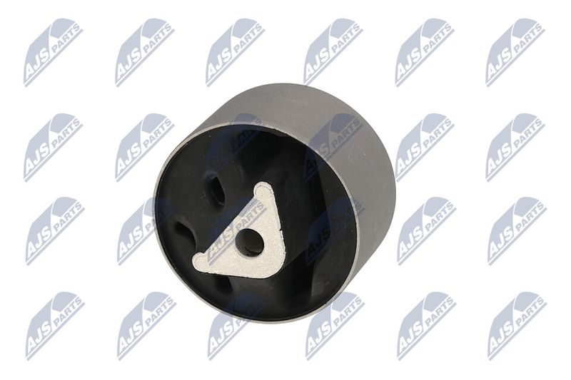 Paigutus, Mootor, NTY ZPS-CH-039