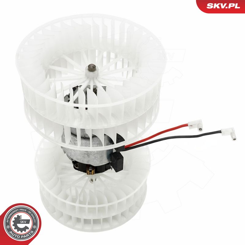 Salongipuhur, ESEN SKV...