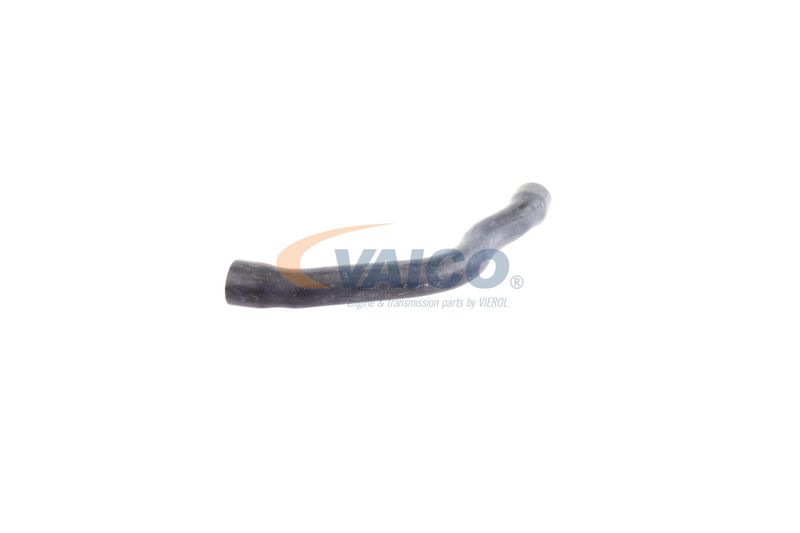 VAICO V30-2099 Radiator Hose