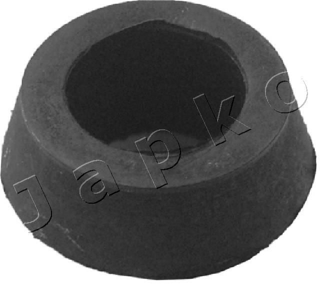 GOJ1254_1.JPG