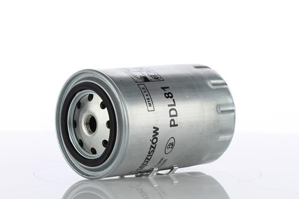 PDL81.JPG