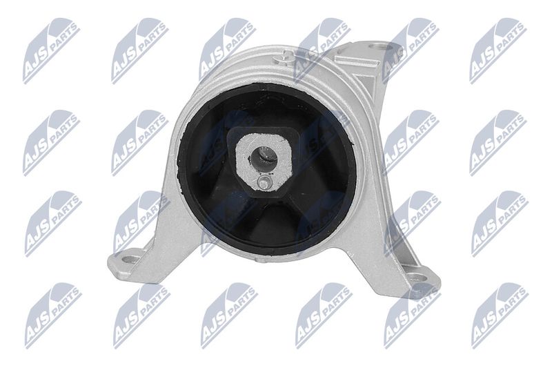 Paigutus, Mootor, NTY ZPS-PL-001