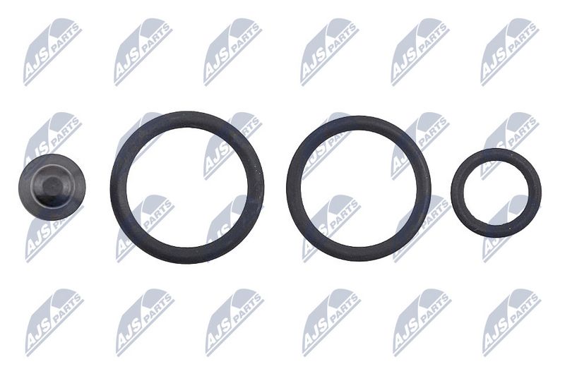 NTY BWP-WW-013 Repair Kit, unit injector