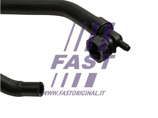 FT61104_2_1.JPG