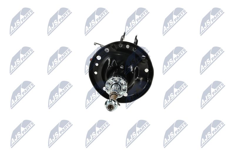 Amort, NTY A-PL-062