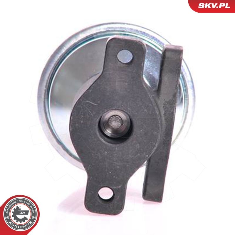 EGR-klapp, ESEN SKV 14SKV005