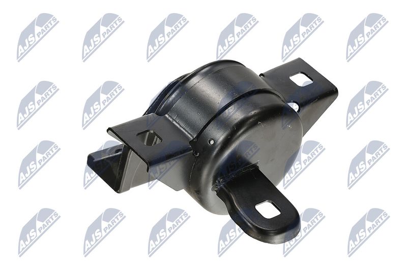 Paigutus, Mootor, NTY ZPS-DW-011