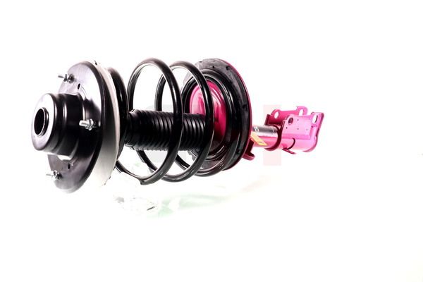 Vedruamort, GH GH-359321C02