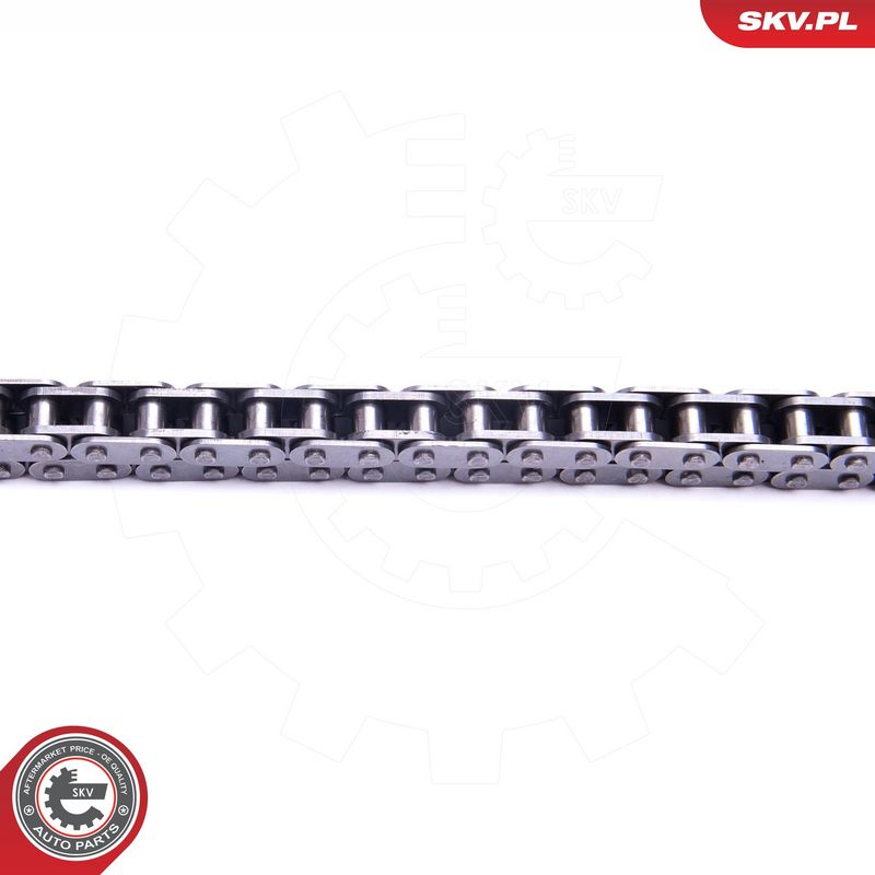 Mootori keti komplekt, ESEN SKV 21SKV220